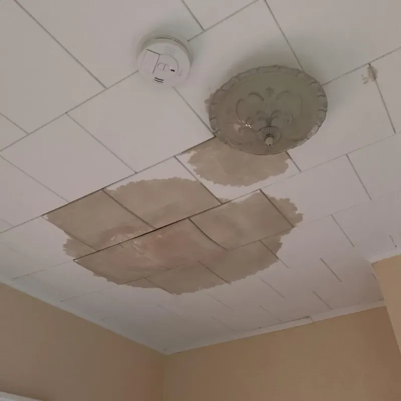 Ceiling Water Damage Repair in Steger, IL