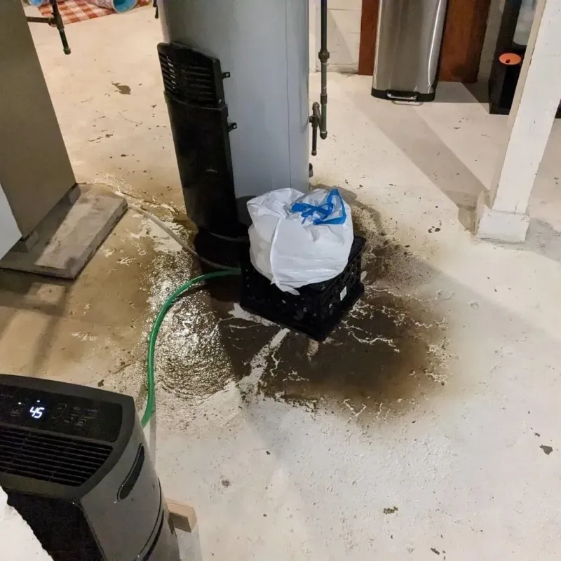 Sewage Backup Cleanup Service in Steger, IL